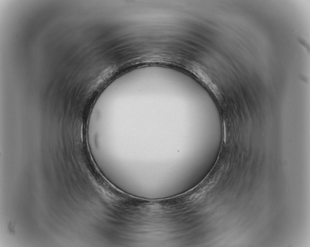 X0000091590253200708200958