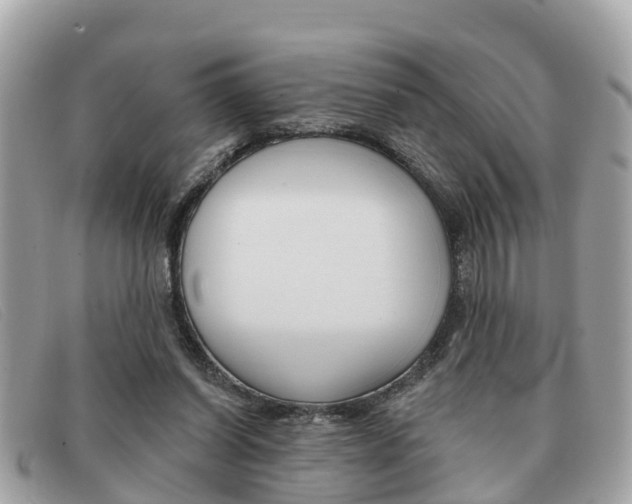 X0000091590254200708200958