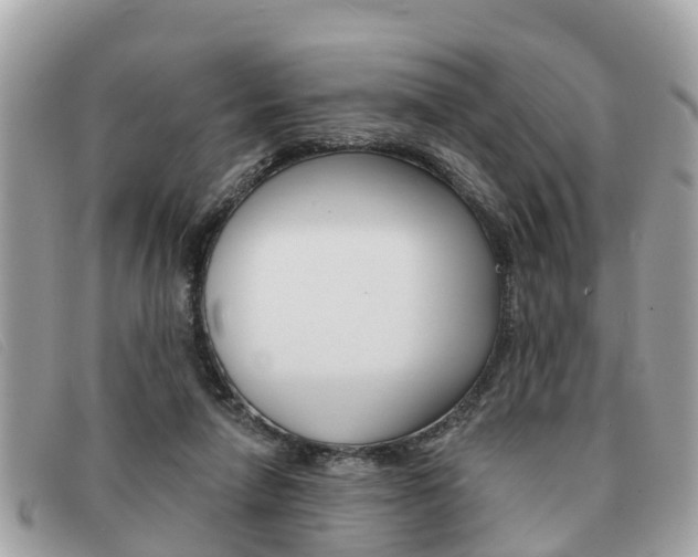 X0000091590258200708200958