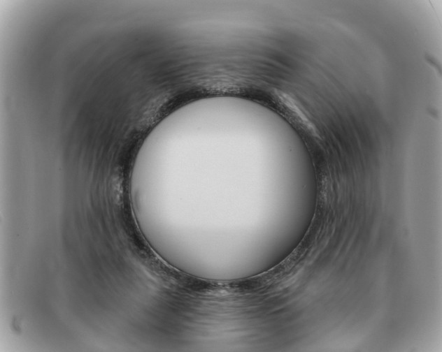 X0000091590259200708200958