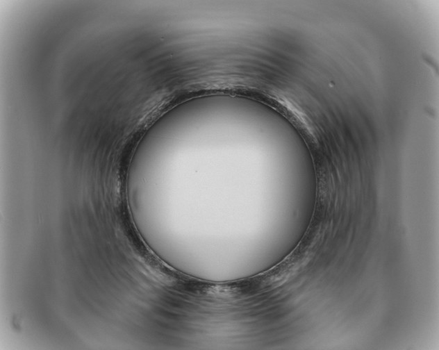 X0000091590261200708200958