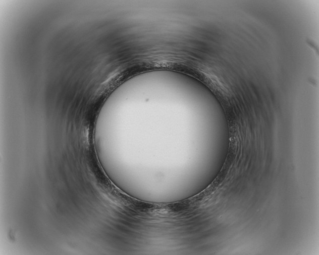 X0000091590262200708200958
