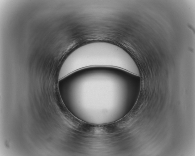 X0000091590264200708200958
