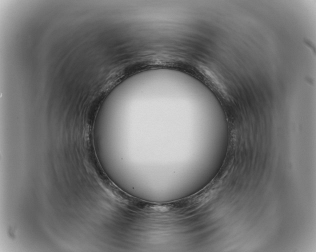 X0000091590265200708200958