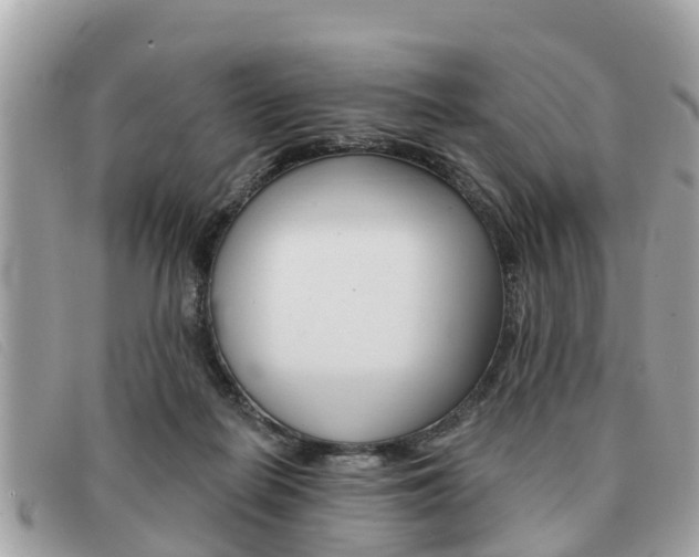 X0000091590266200708200958