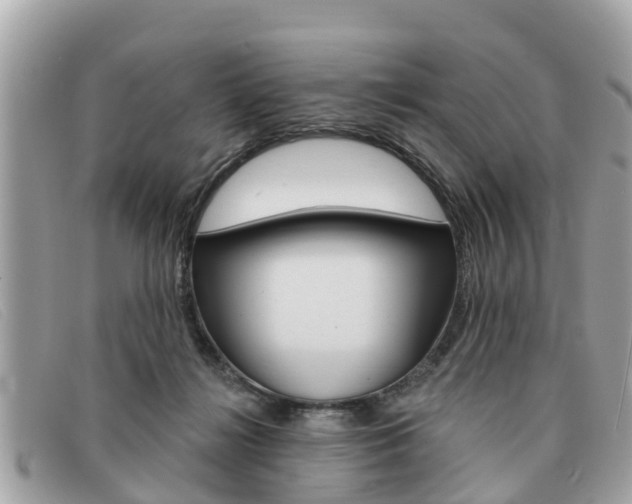 X0000091590268200708200958