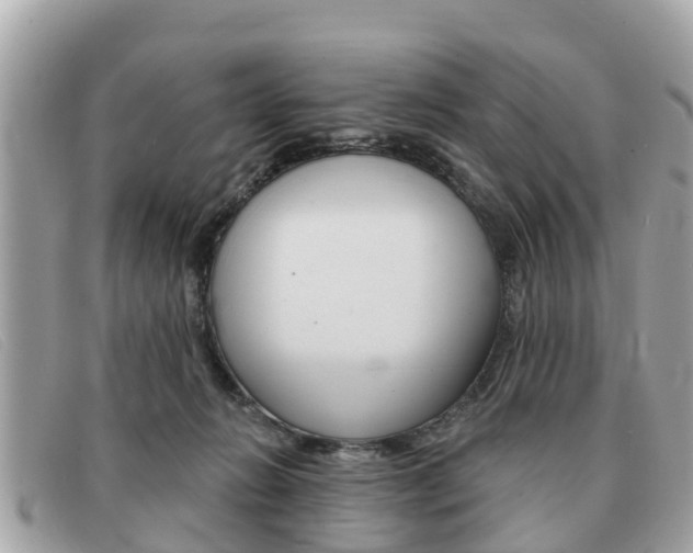 X0000091590270200708200959