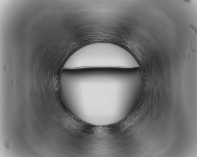 X0000091590273200708200959