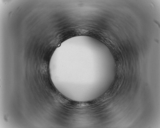 X0000091590274200708200959