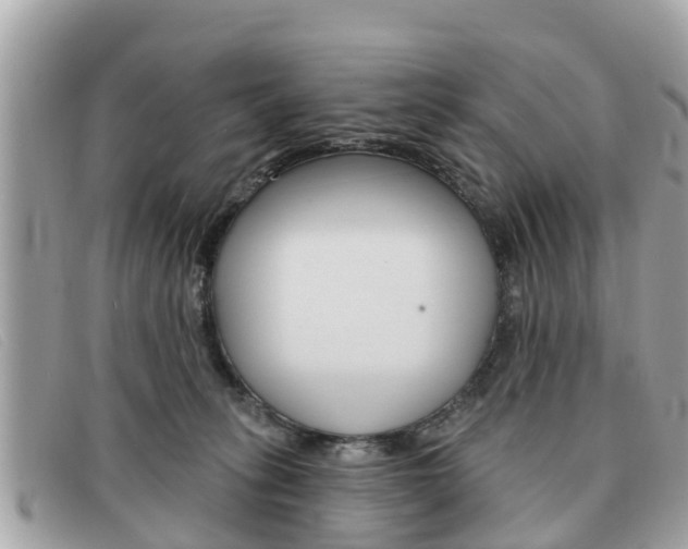 X0000091590275200708200959