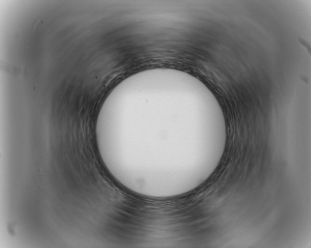 X0000091590276200708200959