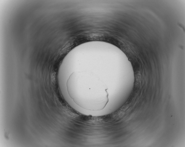 X0000091590278200708200959