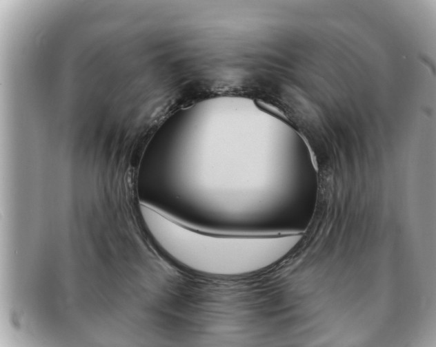 X0000091590280200708200959