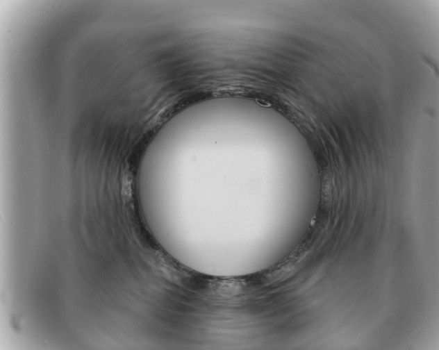 X0000091590282200708200959