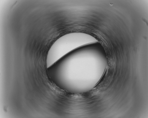 X0000091590284200708200959