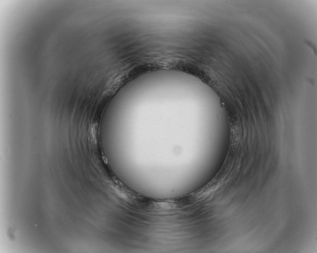 X0000091590286200708200959