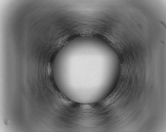 X0000091590287200708200959