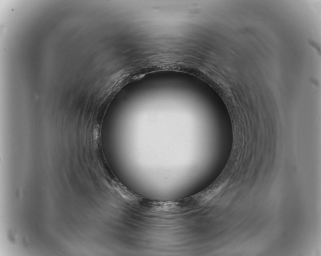 X0000091590288200708200959