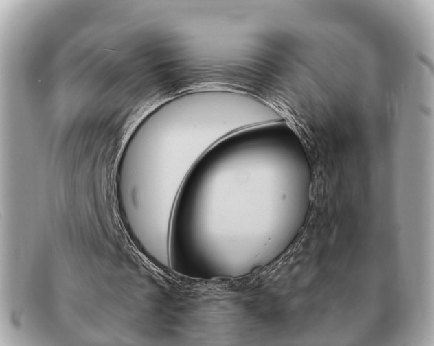 X0000091590289200708200958
