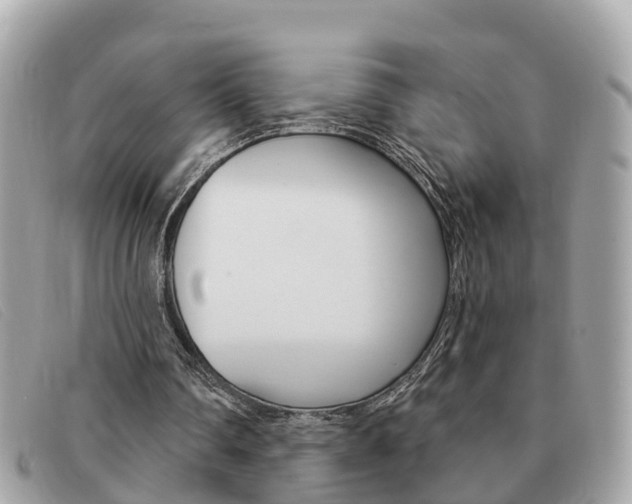 X0000091590290200708200958