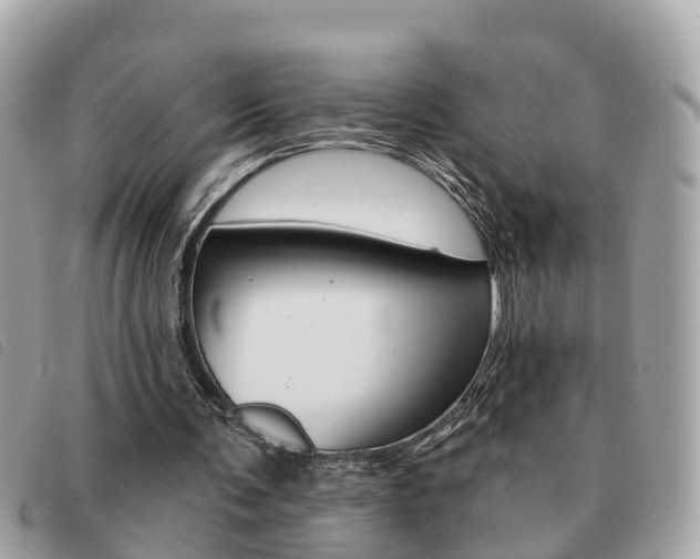 X0000091590291200708200958