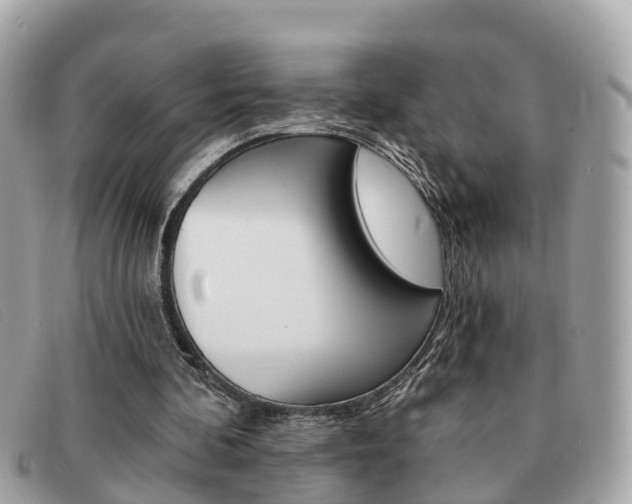 X0000091590292200708200958