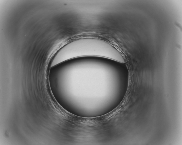 X0000091590293200708200958