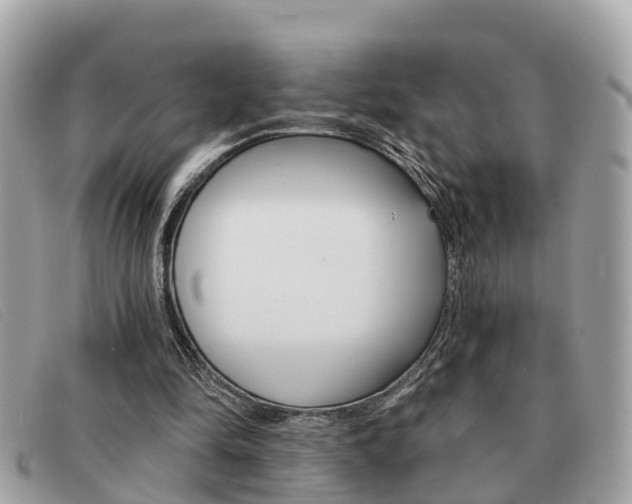 X0000091590294200708200958