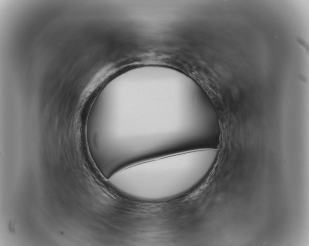 X0000091590295200708200958