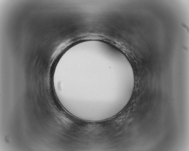 X0000091590296200708200958