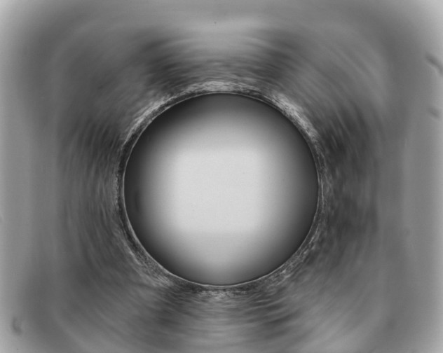 X0000091590297200708200958