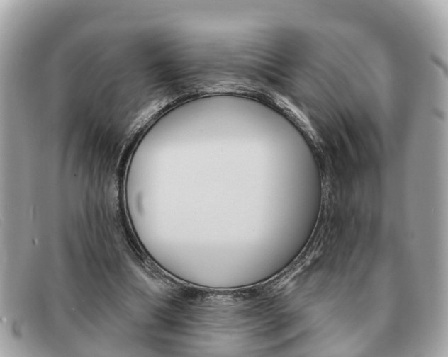 X0000091590298200708200958