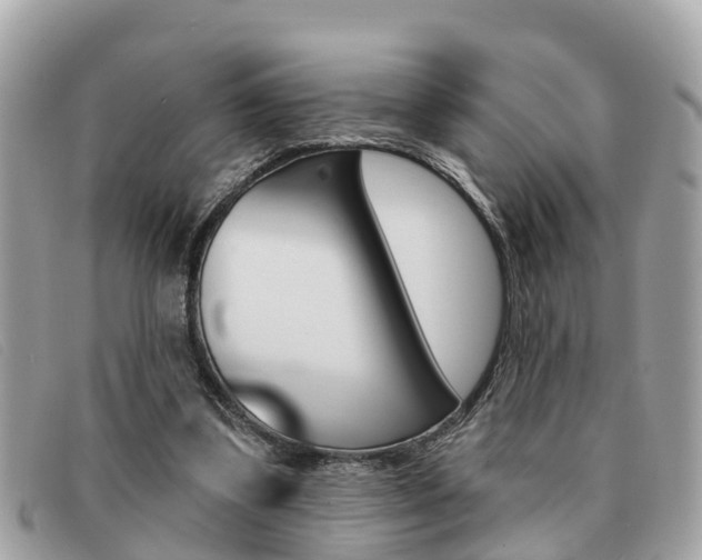 X0000091590299200708200958