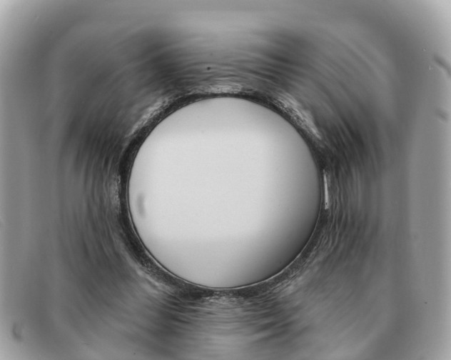 X0000091590300200708200958