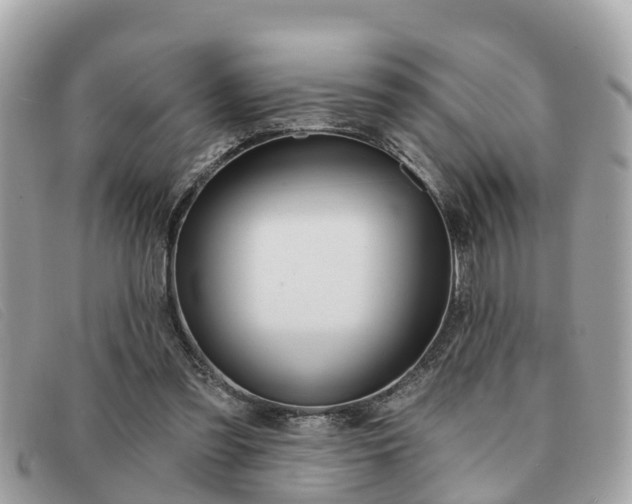 X0000091590301200708200958