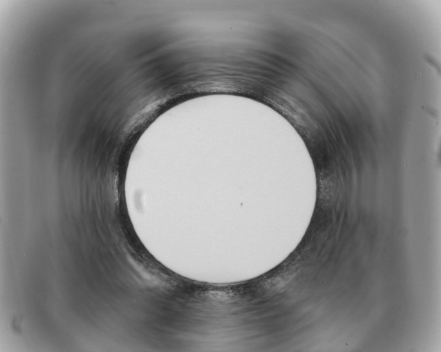 X0000091590302200708200958