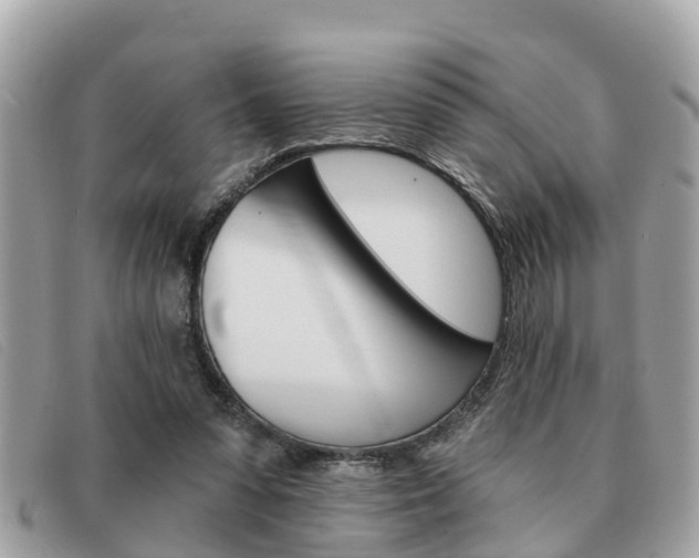 X0000091590303200708200958