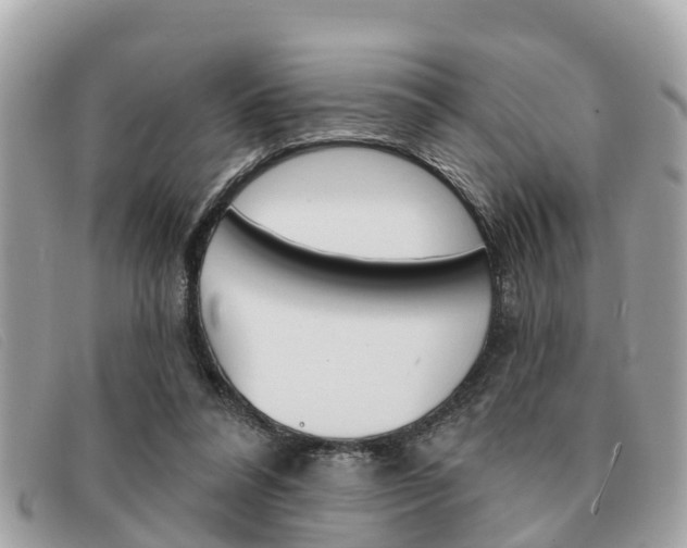 X0000091590304200708200958
