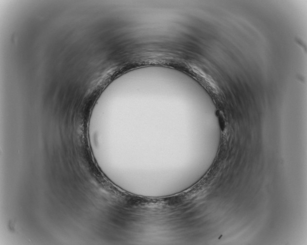 X0000091590306200708200958