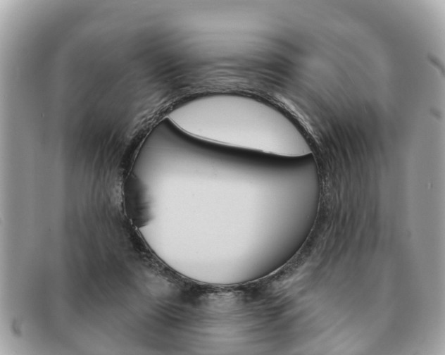 X0000091590307200708200958
