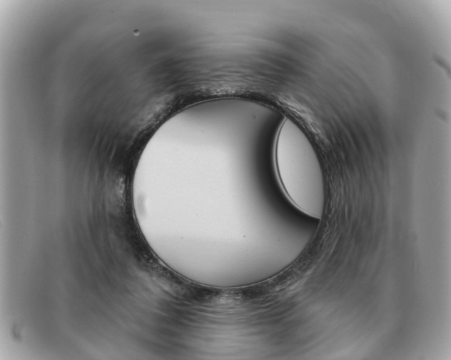 X0000091590308200708200958