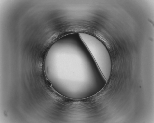 X0000091590309200708200958