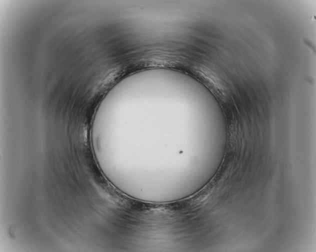 X0000091590310200708200958