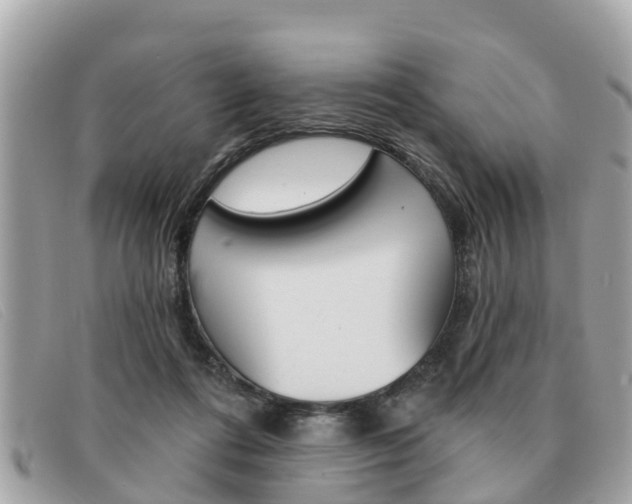 X0000091590312200708200958
