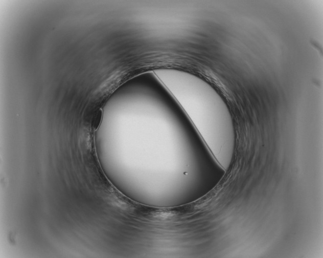 X0000091590313200708200958