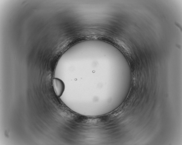 X0000091590314200708200958