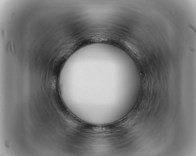 X0000091590315200708200958