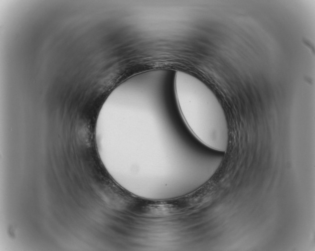 X0000091590316200708200958