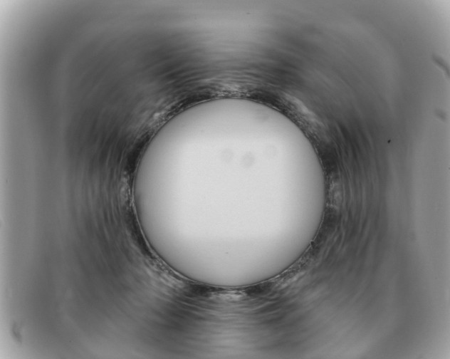X0000091590318200708200958