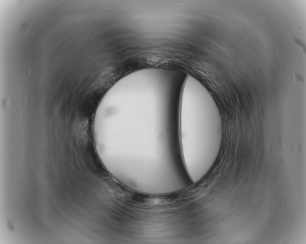 X0000091590319200708200958